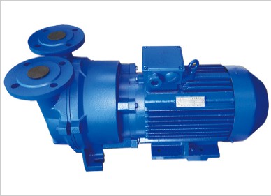  水環(huán)式真空泵